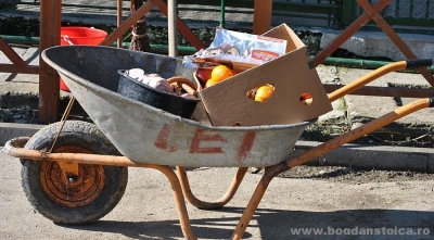 Leii lui Nuţu Cămătaru primesc prăjituri cu ciocolată?!