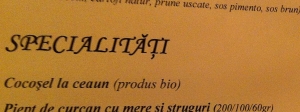 E bine să fie cocoşelul bio? Ţie cum îţi place cocoşelul?